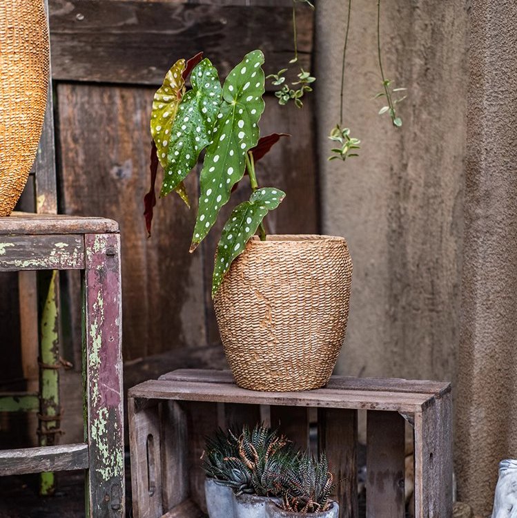 Seagrass Basket - Cement