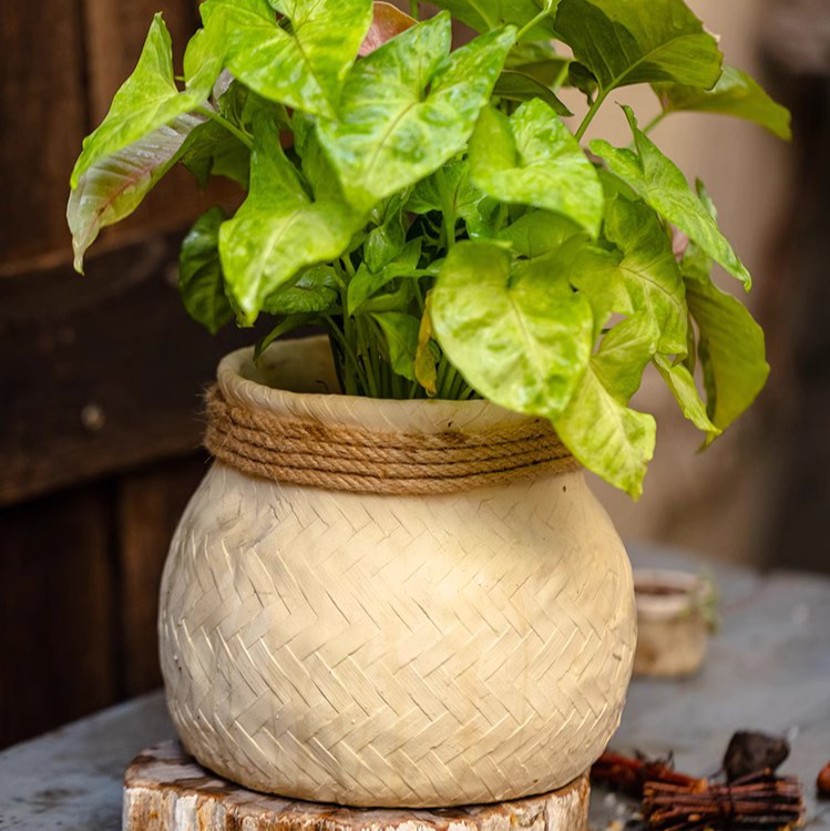 Woven Cement Planter With Rope Accent