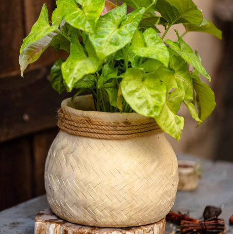 Woven Cement Planter With Rope Accent