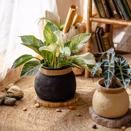 Woven Cement Planter With Rope Accent