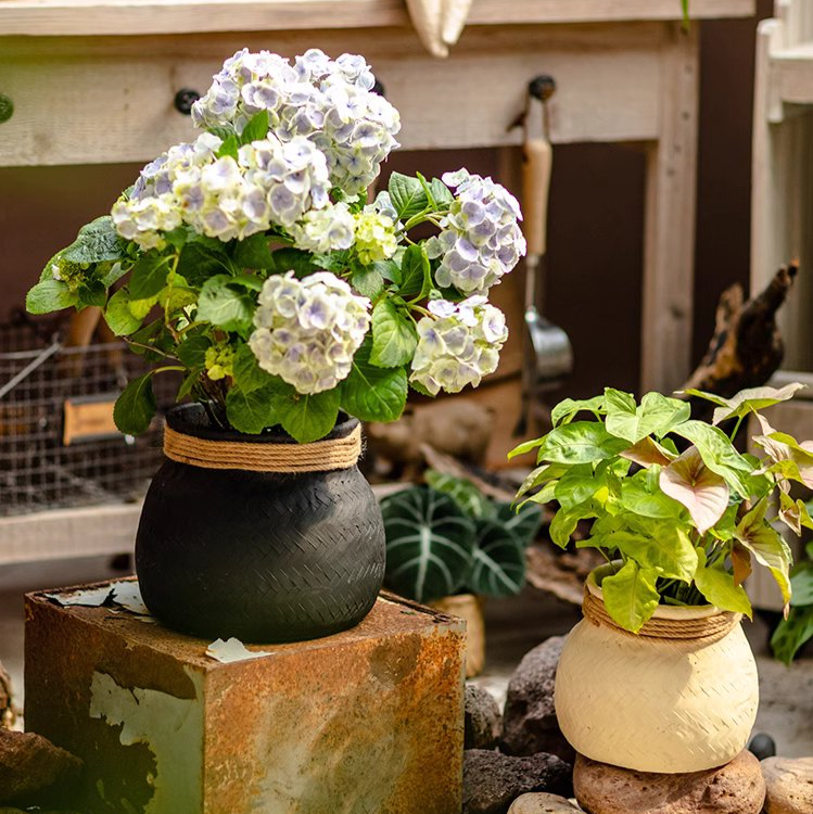 Woven Cement Planter With Rope Accent