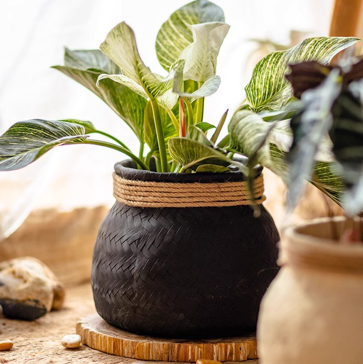 Woven Cement Planter With Rope Accent