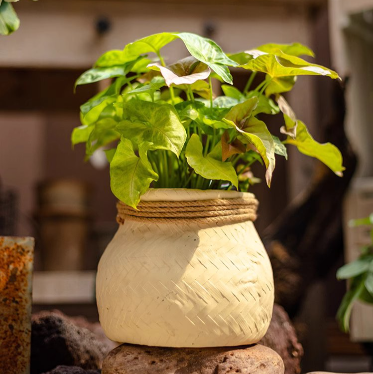 Woven Cement Planter With Rope Accent