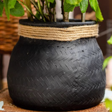 Woven Cement Planter With Rope Accent