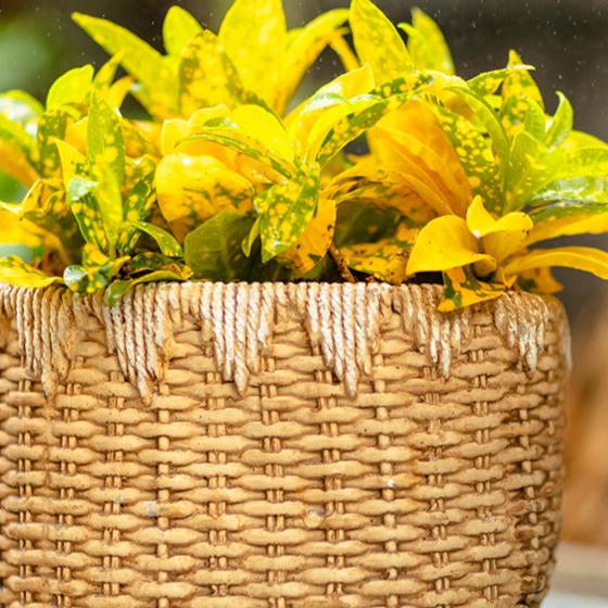 Straw Basket Planter - Cement