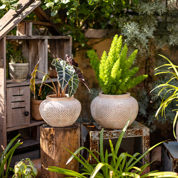 Yukun Terracotta Stubby Planter Pot