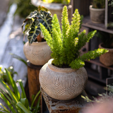 Yukun Terracotta Stubby Planter Pot