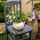 Yukun Terracotta Stubby Planter Pot