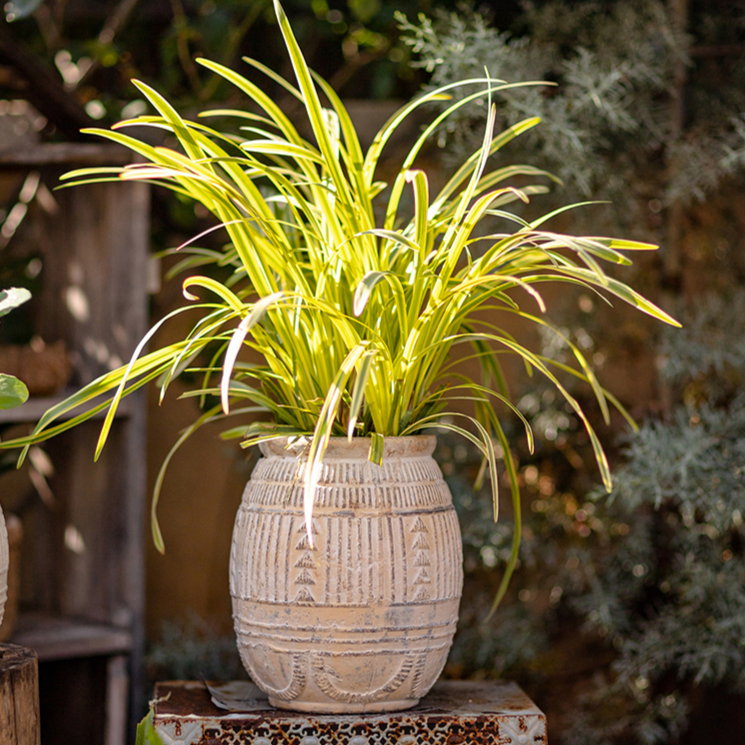 Yukun Tribal Design Stoneware Planter - Various Sizes