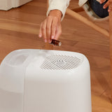 Large Room Humidifer 