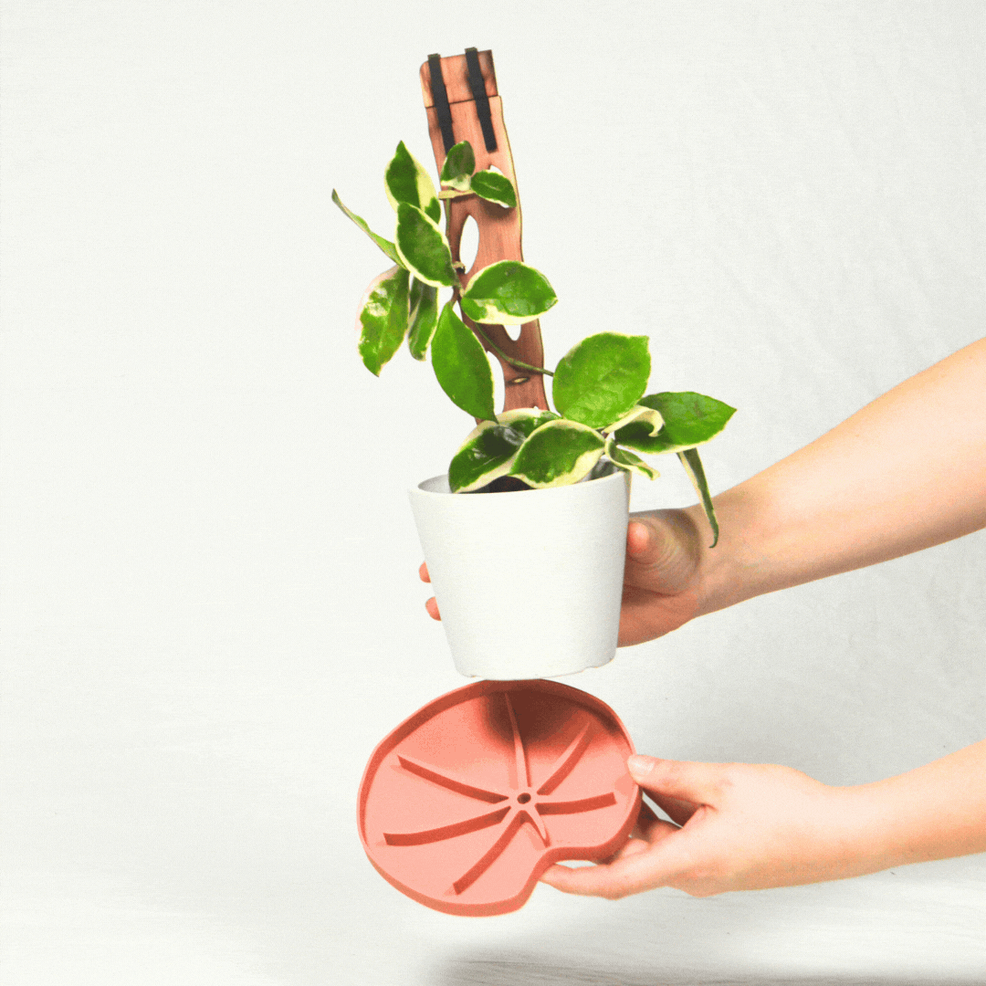 Lili Saucer – Stylish Lily Pad Plant Saucer for Drainage, Root Rot Prevention & Humidity