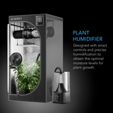 Grow room humidity control using AC Infinity CLOUDFORGE T3 humidifier