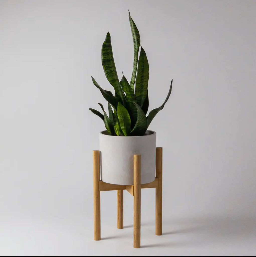 Adjustable Bamboo Plant Stand - Ed's Plant Shop