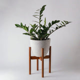 Adjustable Dark Bamboo Plant Stand - Ed's Plant Shop