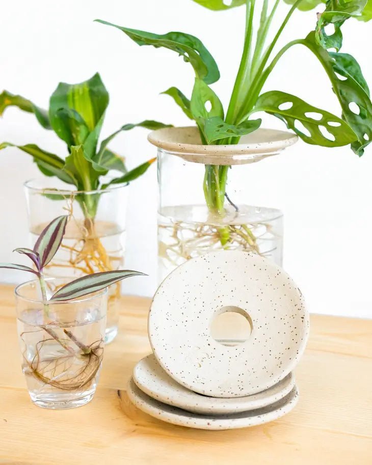 plates for indoor plants Aquaculture & Germination Plate