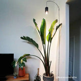 Archetto - Transparent Wall Mount for Plant Lighting - Ed's Plant Shop