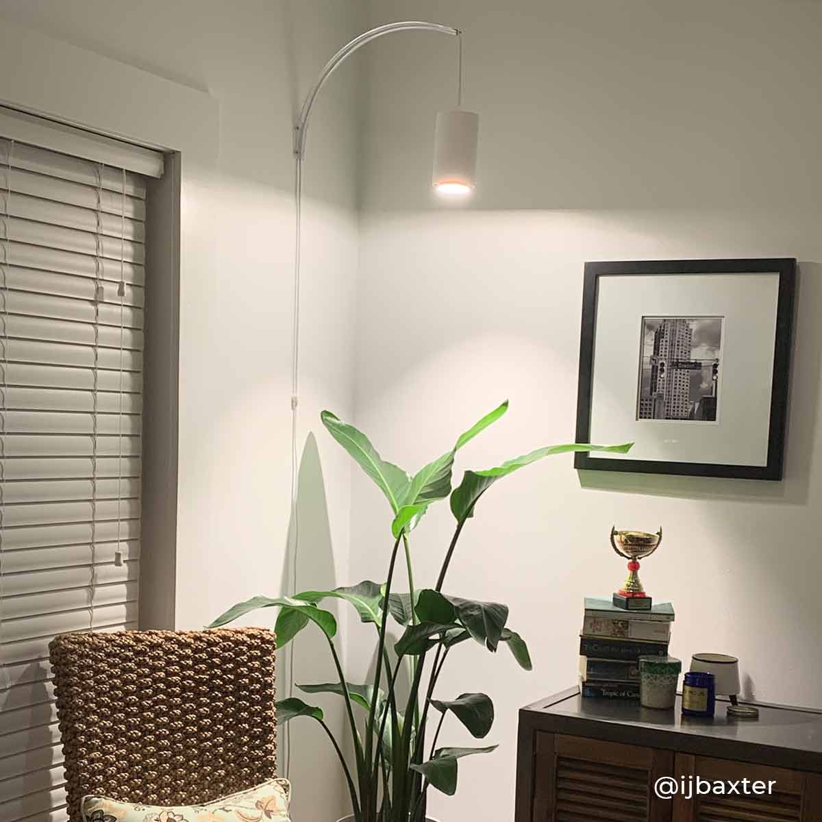 Archetto - Transparent Wall Mount for Plant Lighting - Ed's Plant Shop