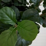 10’ Artificial Fiddle Leaf Fig Tree