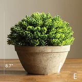 Artificial Faux Boxwood Topiary in Various Designs - Ed's Plant Shop