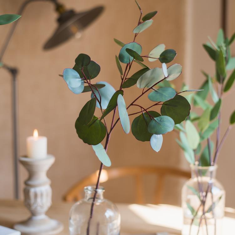 Artificial Faux Eucalyptus Leaf in Various Shapes - Ed's Plant Shop