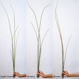 Artificial Faux Rough Horsetail Plant Long Stem 54" Tall - Ed's Plant Shop