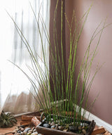 Artificial Faux Rough Horsetail Plant Long Stem 54" Tall - Ed's Plant Shop