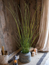 Artificial Faux Rough Horsetail Plant Long Stem 54" Tall - Ed's Plant Shop