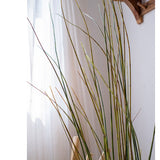 Artificial Faux Rough Horsetail Plant Long Stem 54" Tall - Ed's Plant Shop