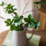 Artificial Faux Small Japanese Zen Leaf Stem 18" Tall - Ed's Plant Shop