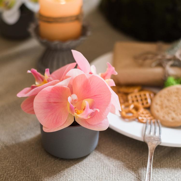 Artificial Flower Mini Real Touch Orchid in Peach Pink - Ed's Plant Shop