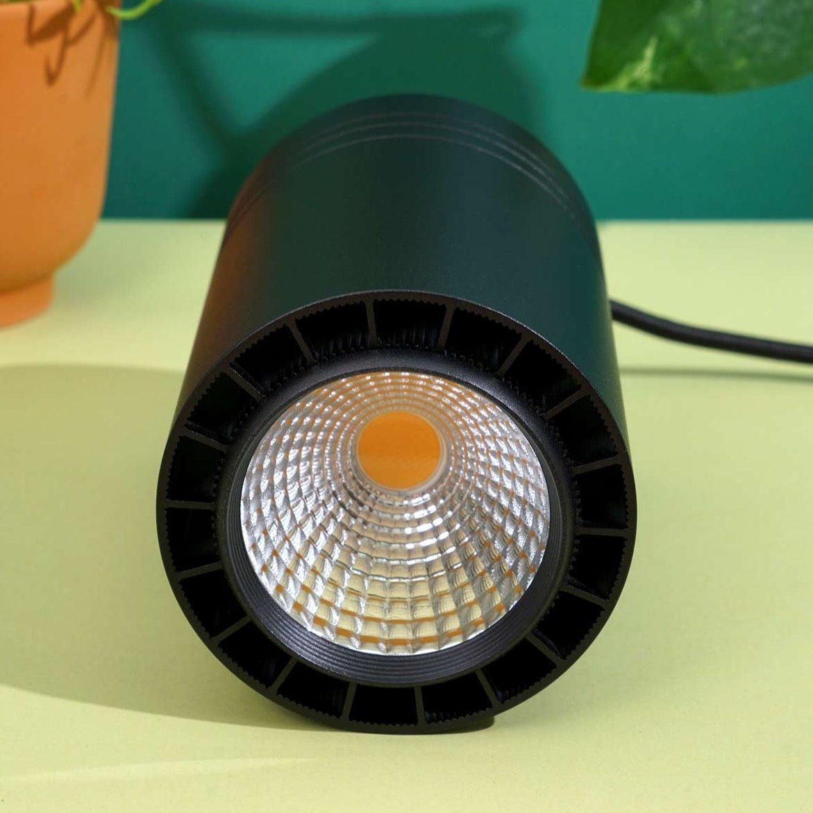 Aspect Growlight | Pendant Style LED Indoor Plant Light - Ed's Plant Shop