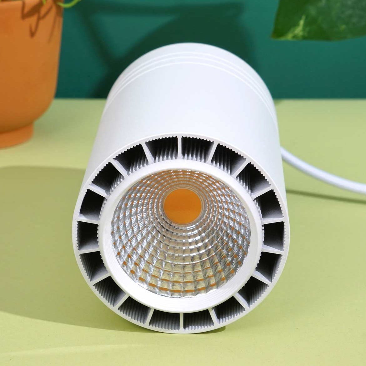 Aspect Growlight | Pendant Style LED Indoor Plant Light - Ed's Plant Shop