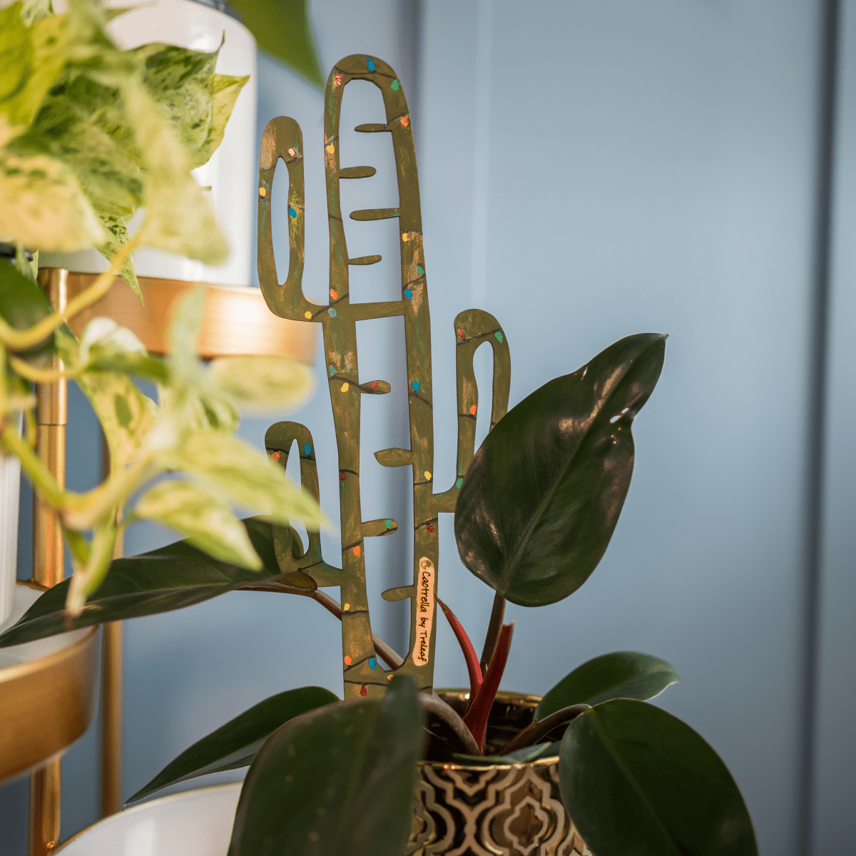 BARE™ Cactrella™ - Customizable wooden plant support - Inspired by the Barrel Cactus - Ed's Plant Shop