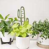 BARE™ Cactrella™ - Customizable wooden plant support - Inspired by the Barrel Cactus - Ed's Plant Shop