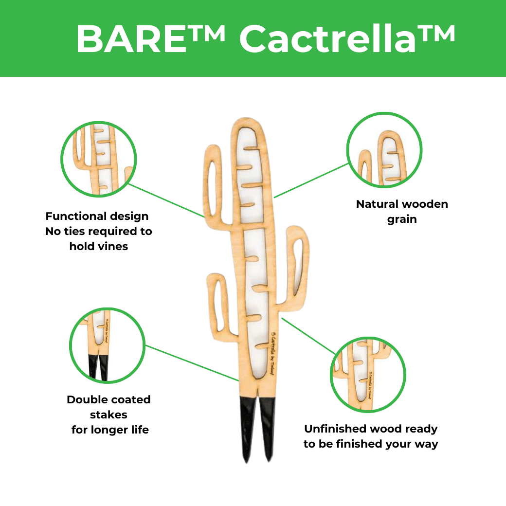 BARE™ Cactrella™ - Customizable wooden plant support - Inspired by the Barrel Cactus - Ed's Plant Shop