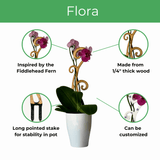 BARE™ Flora™ – Customizable Wooden Floral Plant Trellis for Indoor Climbing Plants - Ed's Plant Shop
