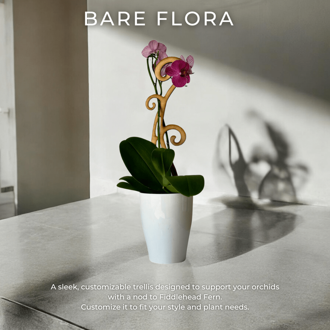 BARE™ Flora™ – Customizable Wooden Floral Plant Trellis for Indoor Climbing Plants - Ed's Plant Shop