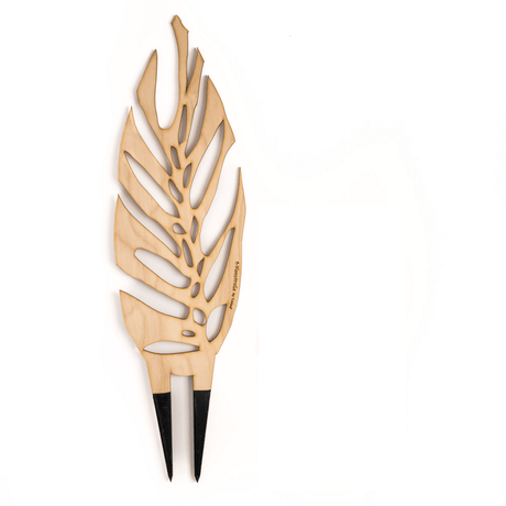 BARE™ Monstrella™ – Customizable Wooden Plant Trellis for Indoor Climbing Plants - Ed's Plant Shop