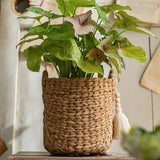 Basket Weave Cement Planter - Various Sizes - Ed's Plant Shop