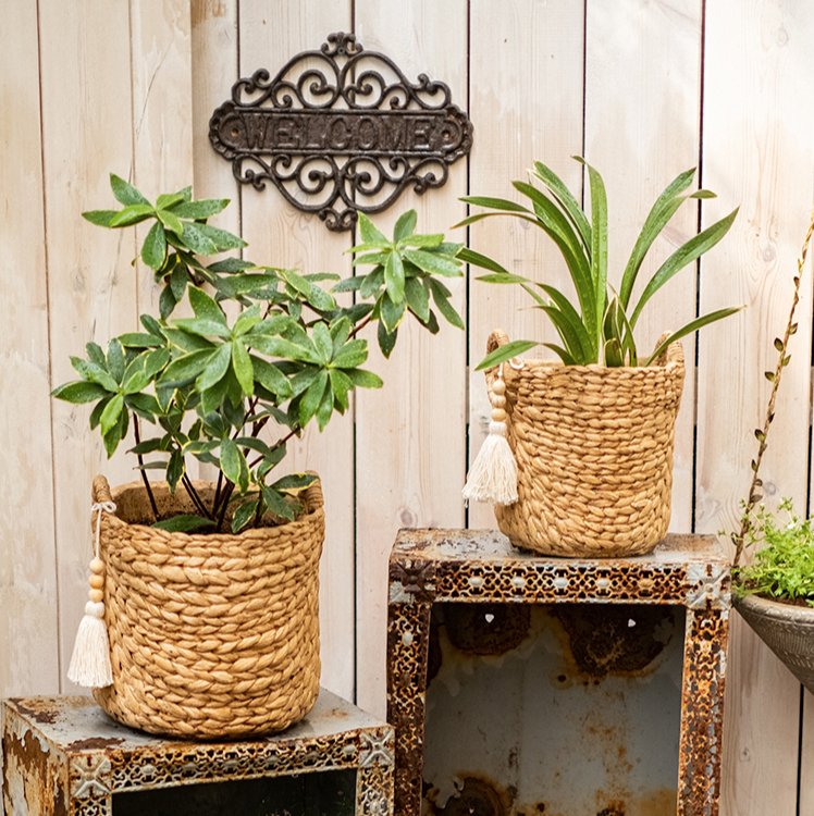 Basket Weave Cement Planter - Various Sizes - Ed's Plant Shop