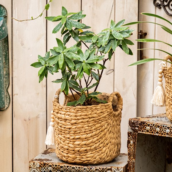 Basket Weave Cement Planter - Various Sizes - Ed's Plant Shop