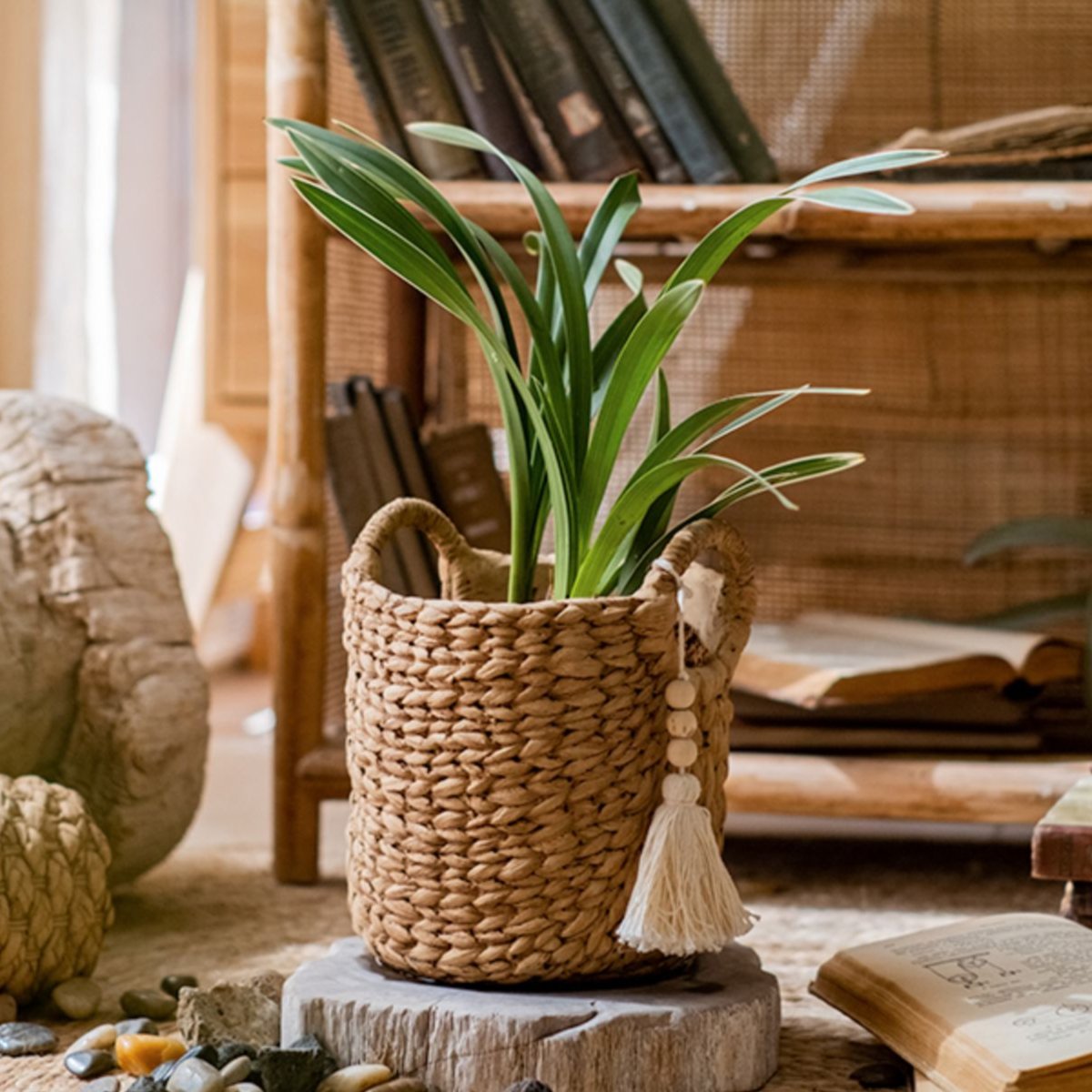 Basket Weave Cement Planter - Various Sizes - Ed's Plant Shop