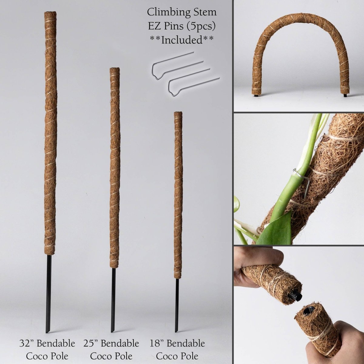 Bendable & Stackable Coco Coir Pole: Support for Climbing Plants - Ed's Plant Shop