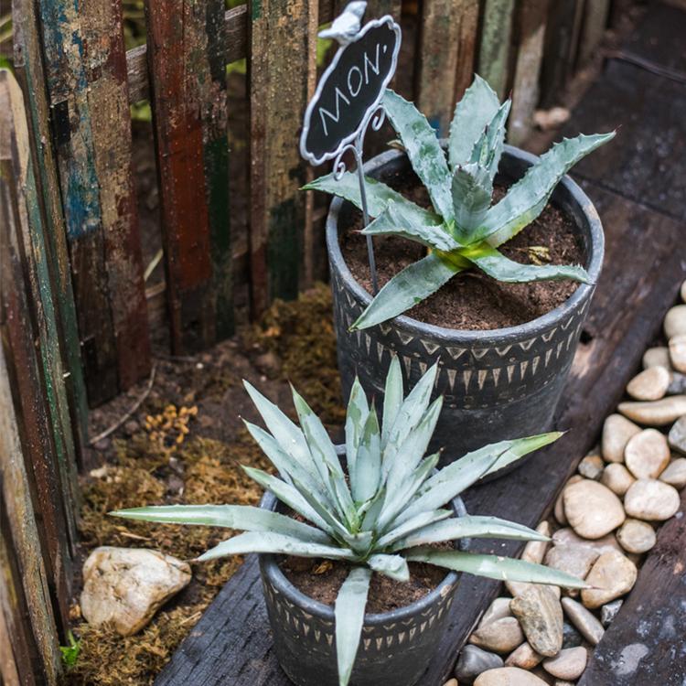 Black Planter With Geometric Design - Various Sizes - Ed's Plant Shop