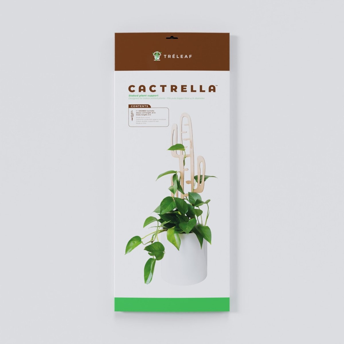 Cactrella - Plant trellis inspired by the Barrel Cactus - Ed's Plant Shop