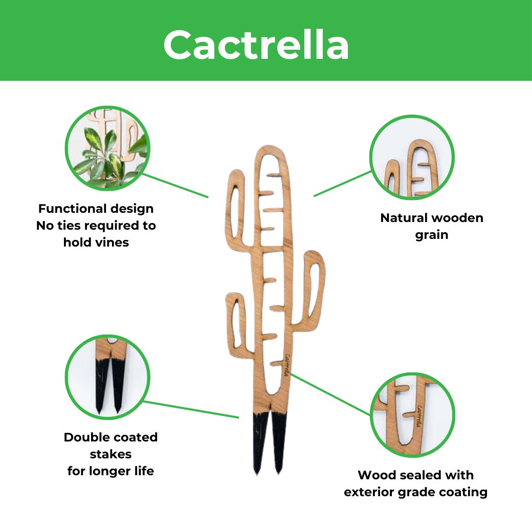 Cactrella - Plant trellis inspired by the Barrel Cactus - Ed's Plant Shop