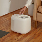 Canopy Large Room Humidifier: Hydrate Plants, Skin & Space - Ed's Plant Shop