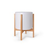 Ceramic Cylinder Planter By Solid Goods With Optional Mahogany Stand - Ed's Plant Shop