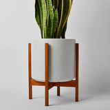 Ceramic Cylinder Planter By Solid Goods With Optional Mahogany Stand - Ed's Plant Shop