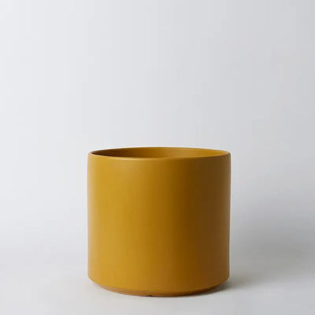 Ceramic Cylinder Planter By Solid Goods With Optional Mahogany Stand - Ed's Plant Shop
